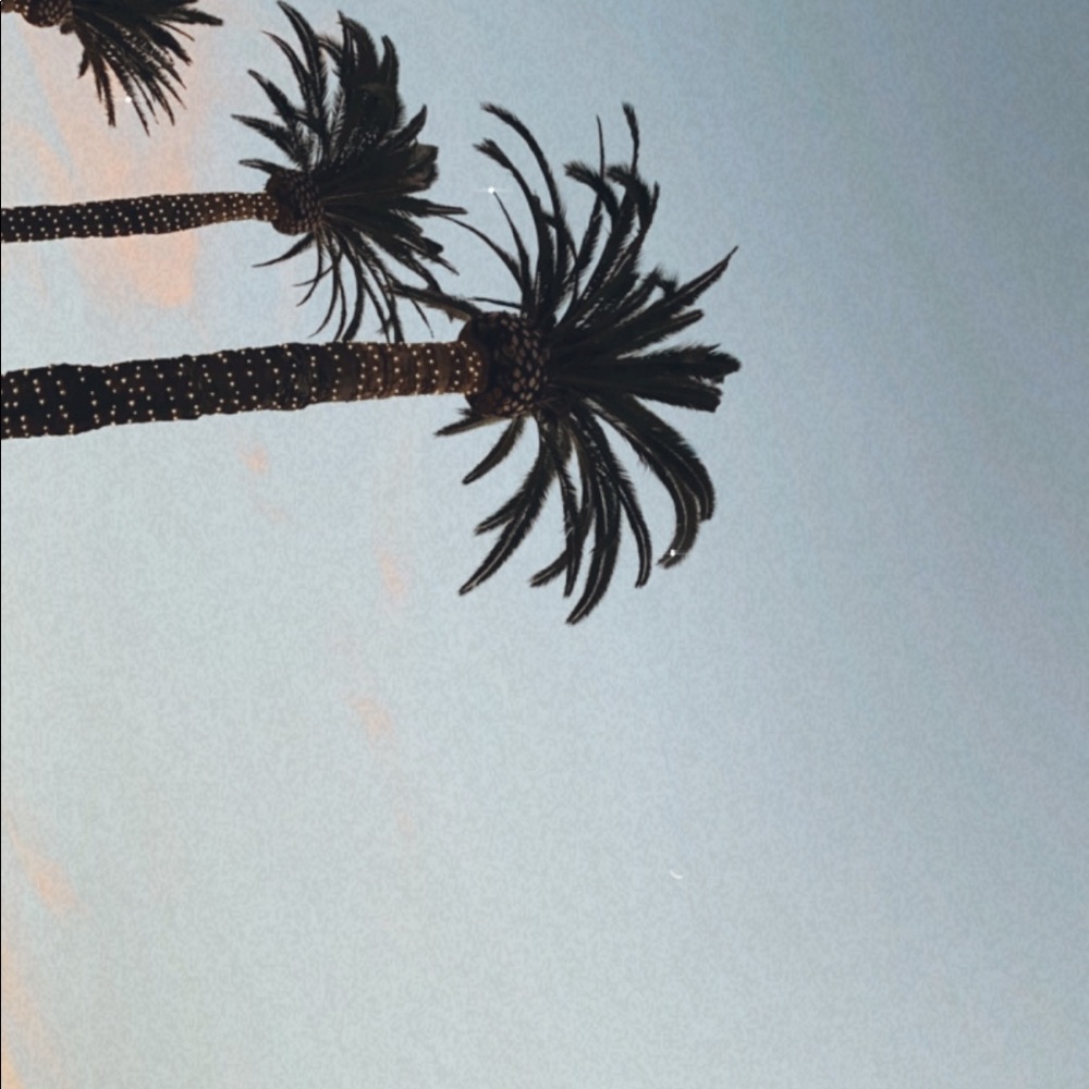 Meet your Posher, Nargis